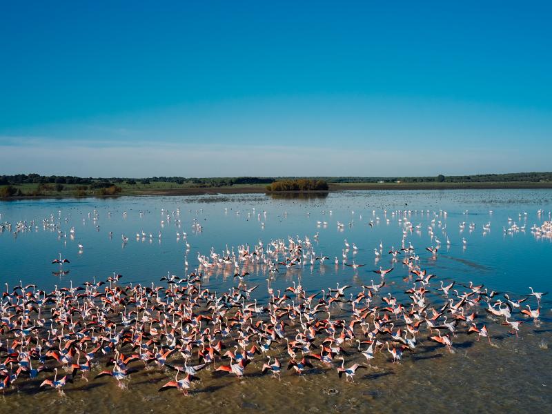 Espacio Natural de Doñana