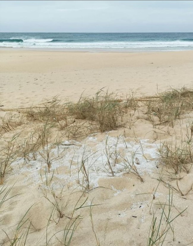 pellets de plástico