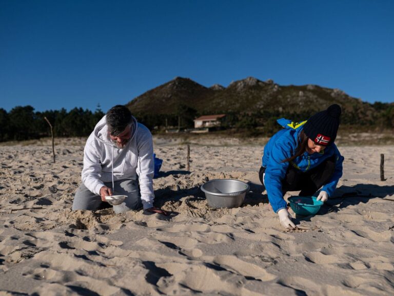 Organizaciones ecologistas contaminacion por pellets de plastico 1