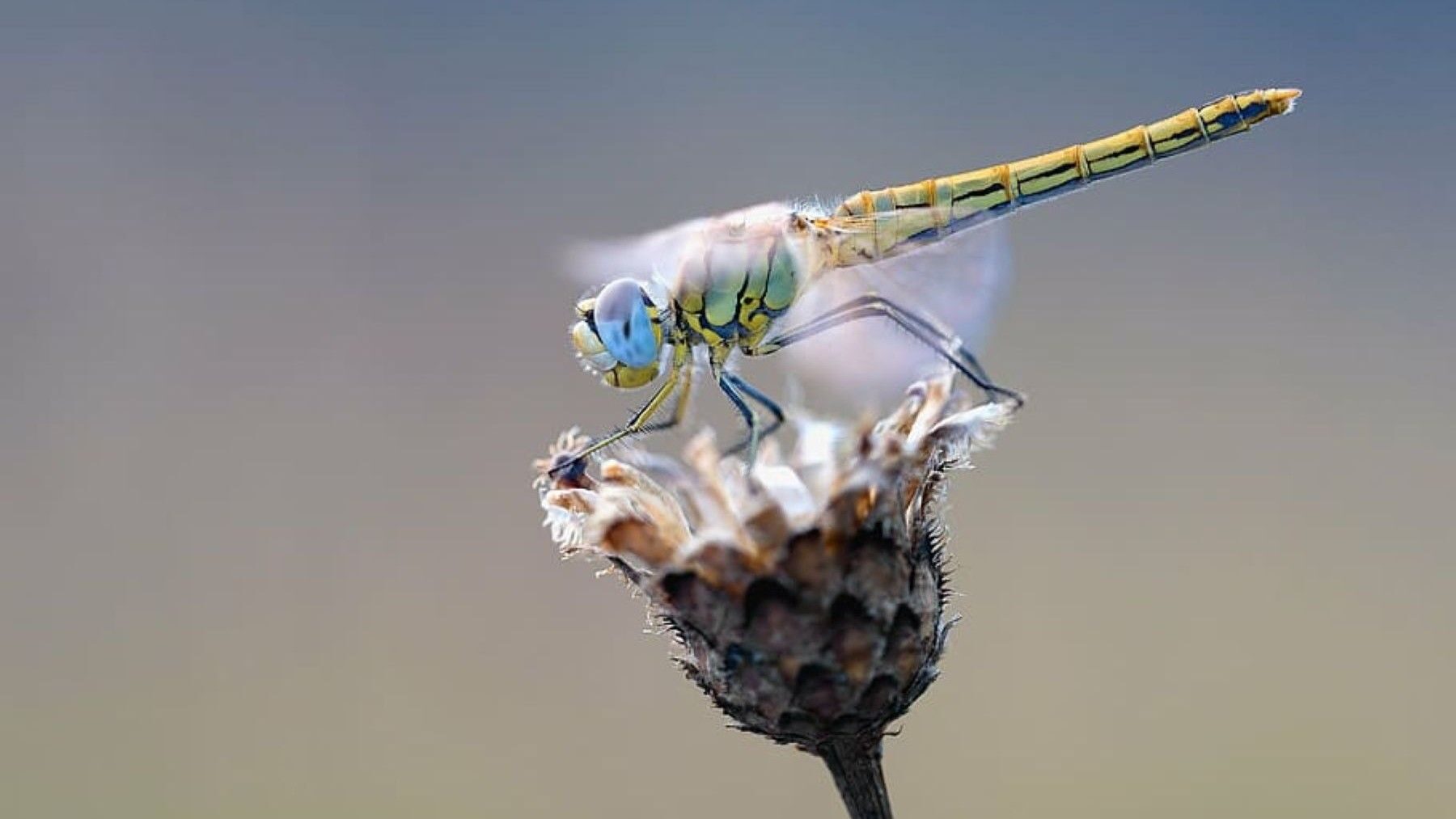 Qué es la naturaleza