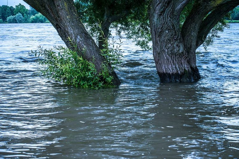 Fondos EIE eficiencia energética, energías renovables y catástrofes climáticas
