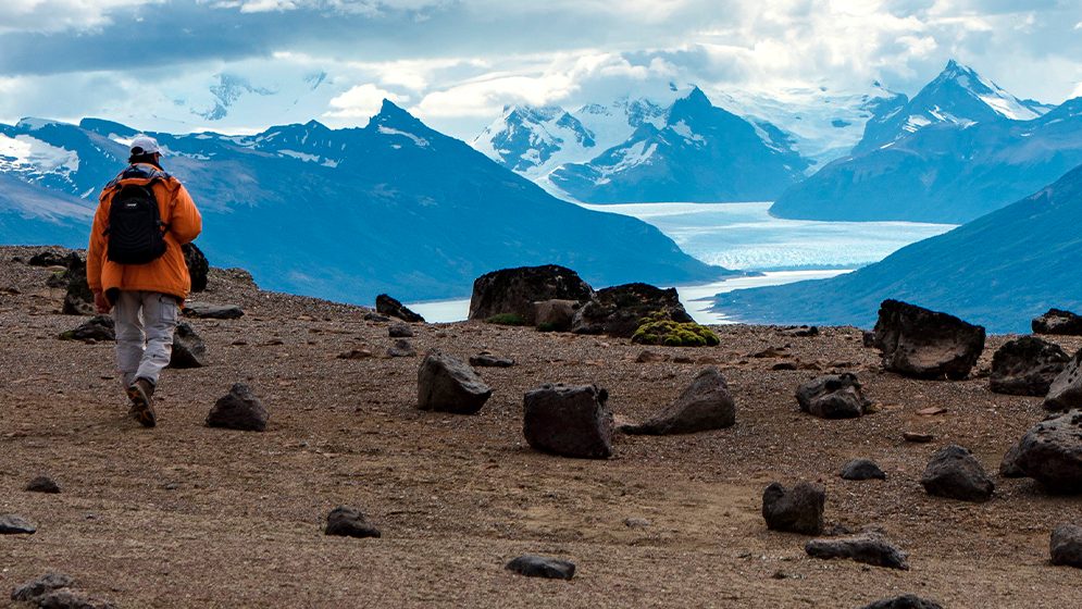 insectos dinosaurios