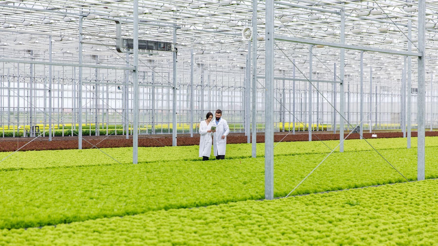 Agricultor imita el clima