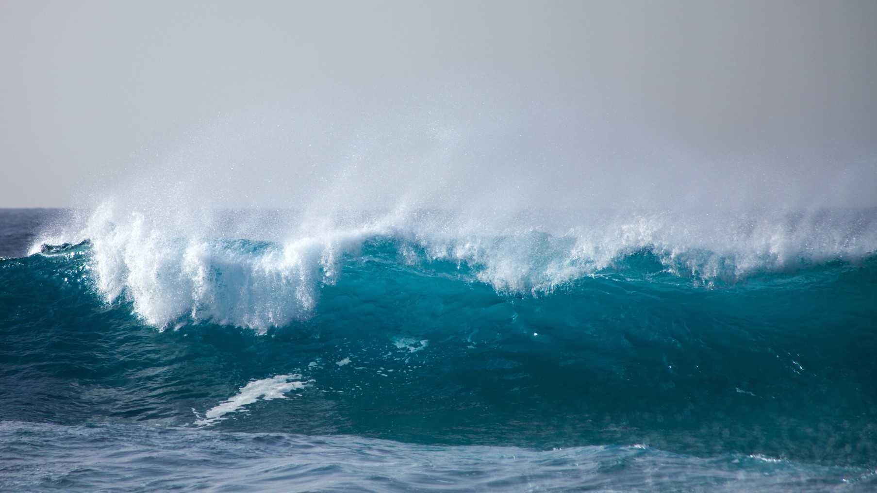 circulación Termohalina AMOC
