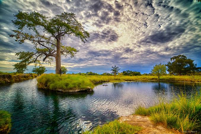 Día Mundial de los Humedales 2024