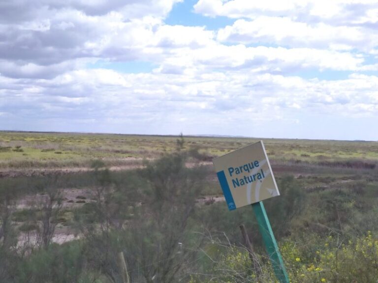 Doñana Alianza Verde