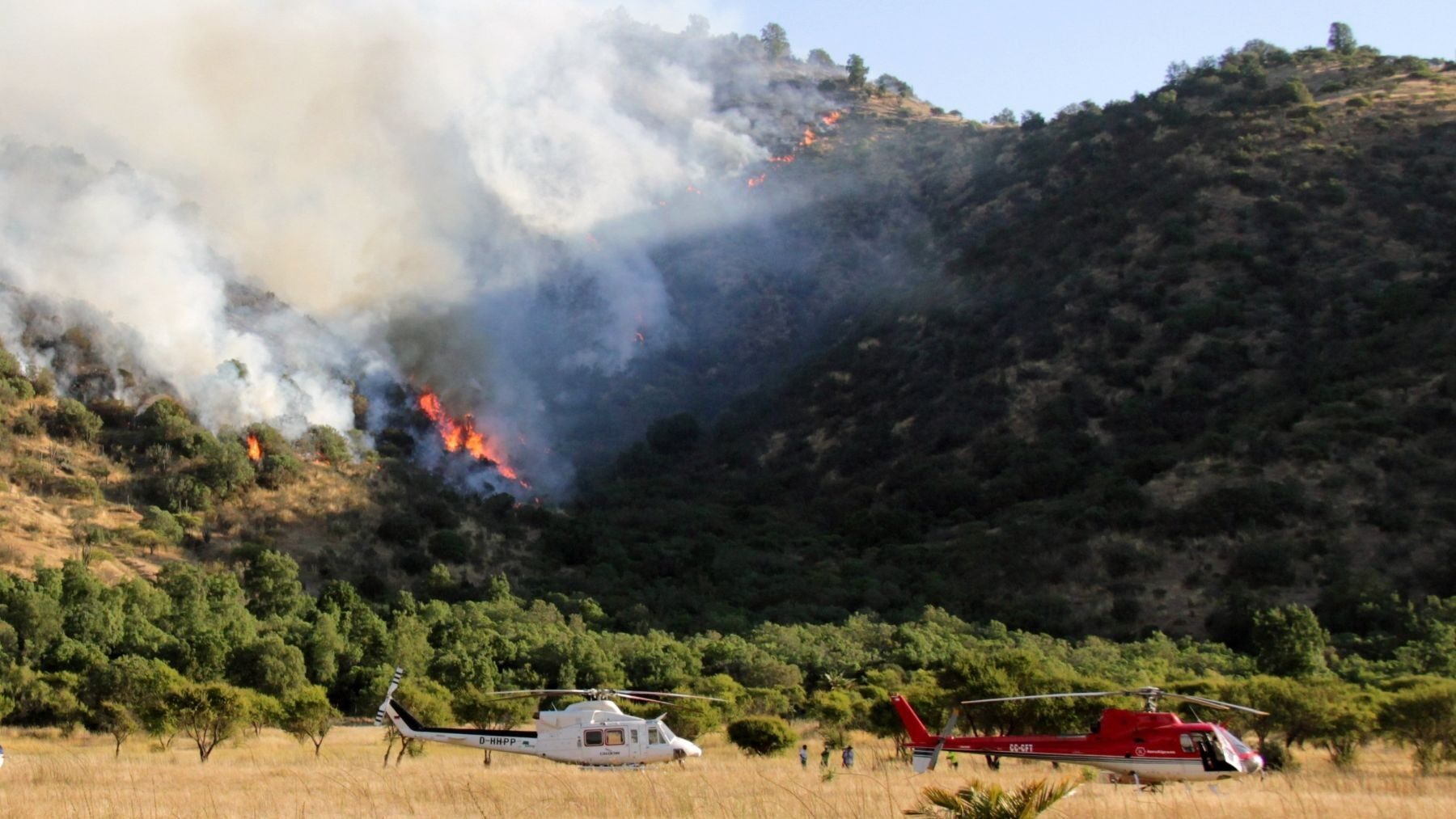 ¿Qué son los incendios forestales y cómo se combaten?