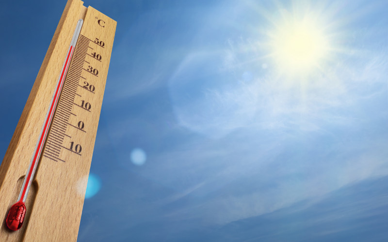 Observatorio de Salud y Cambio Climático (OSCC) reunión