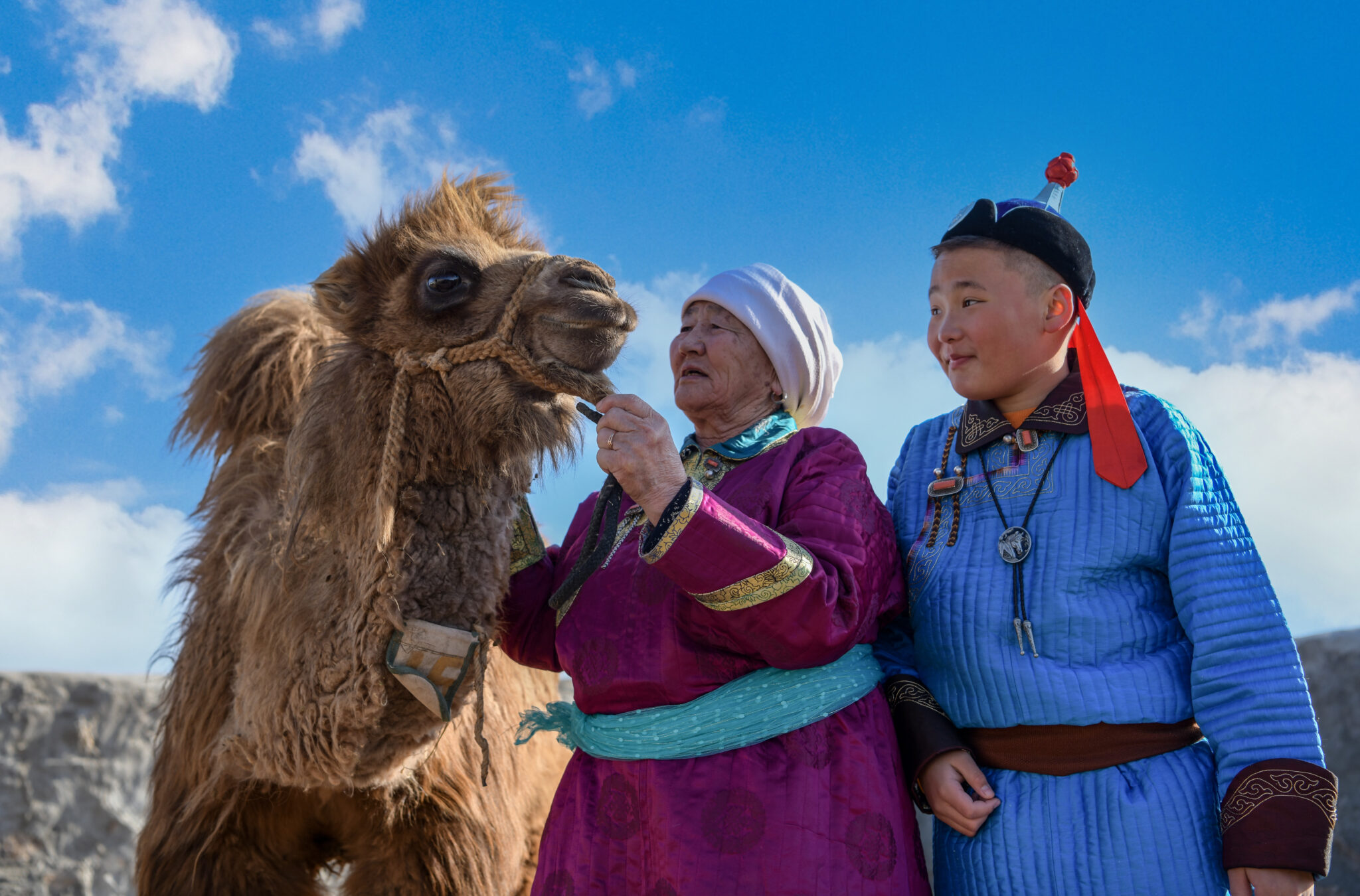 Proyecto LICCI cambio climático