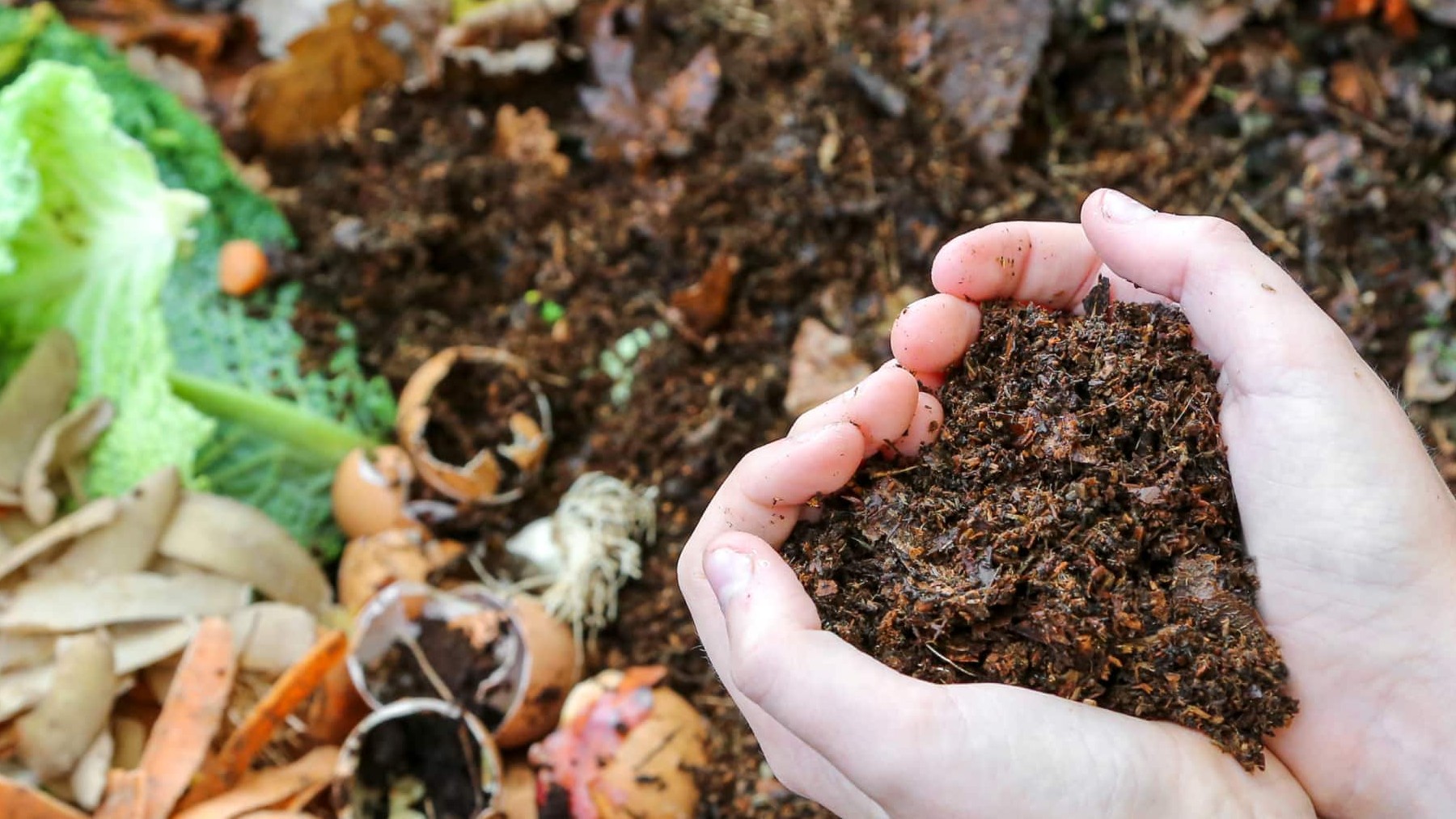 compostaje, práctica sostenible