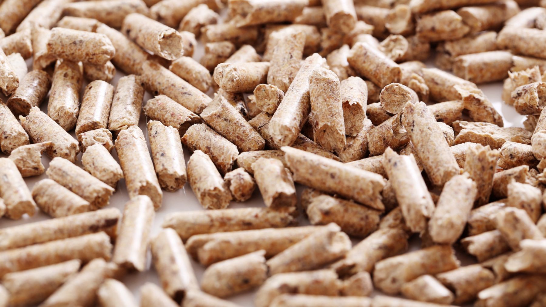 Compuestos bioenergia