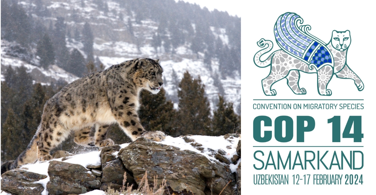 Arranca la COP14 de la ONU de la Convención sobre la Conservación de ...