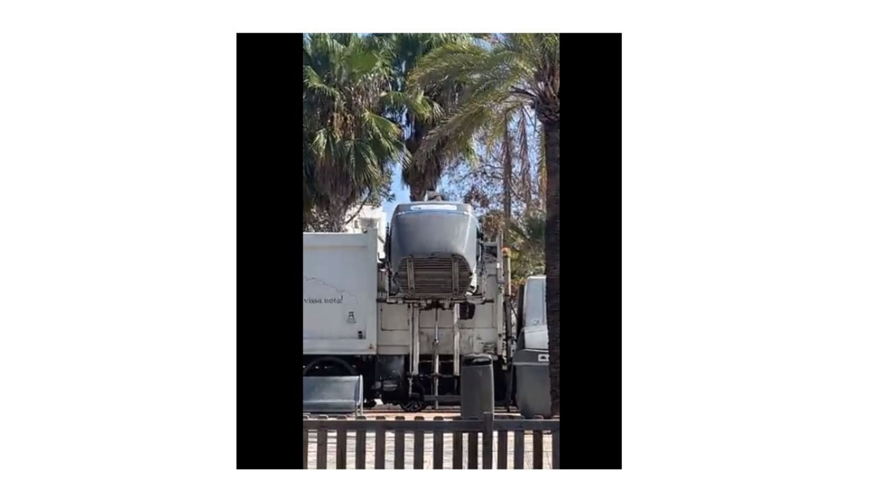 Practica ecologista Nueva York