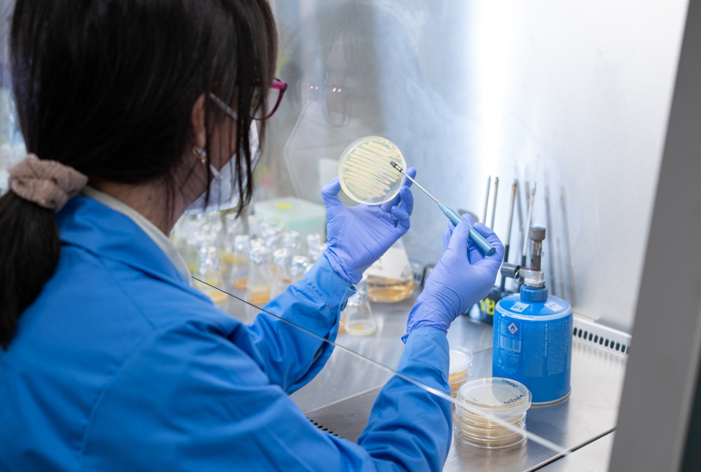 Proyecto PHASAL bioplásticos