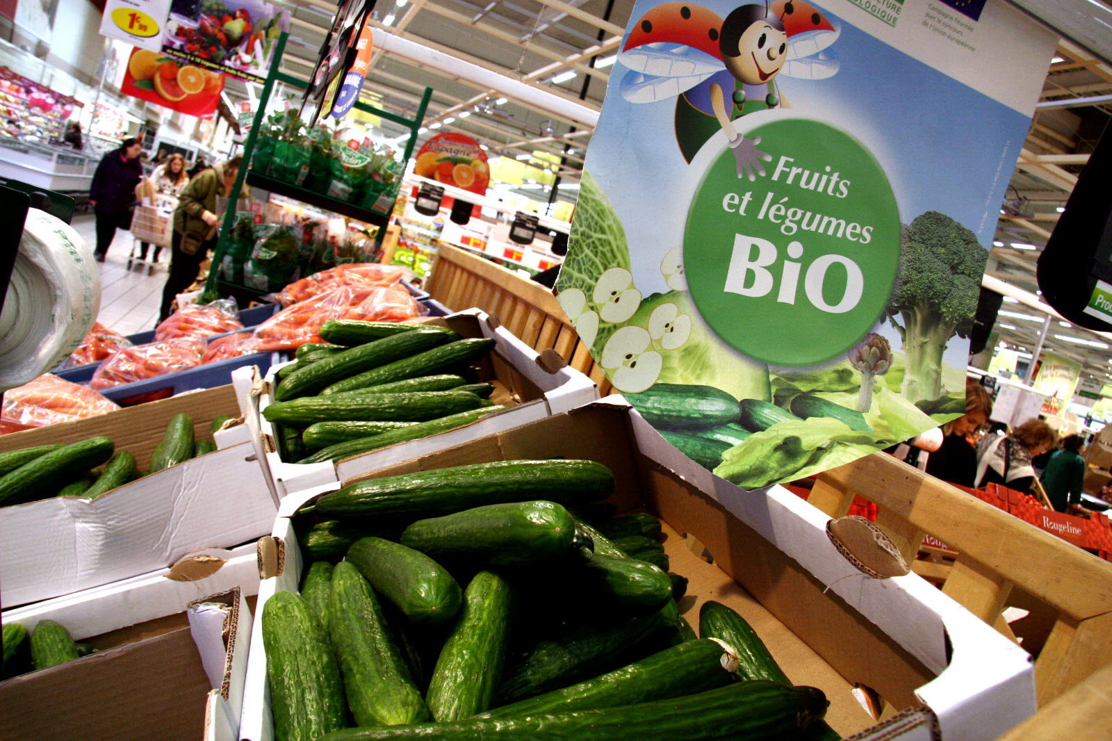 sector ecológico francés