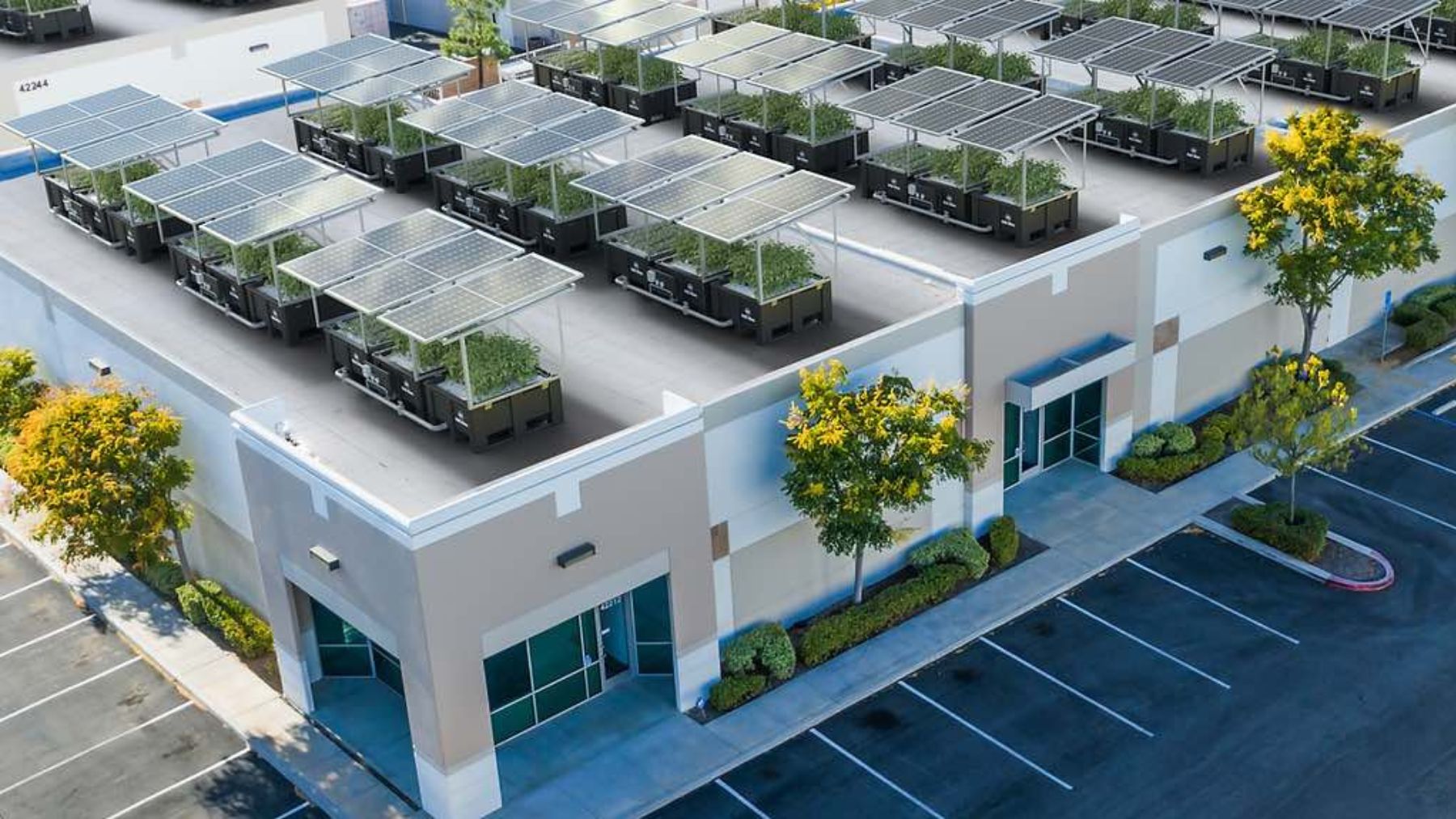 Tejados vacios aprovecha la lluvia