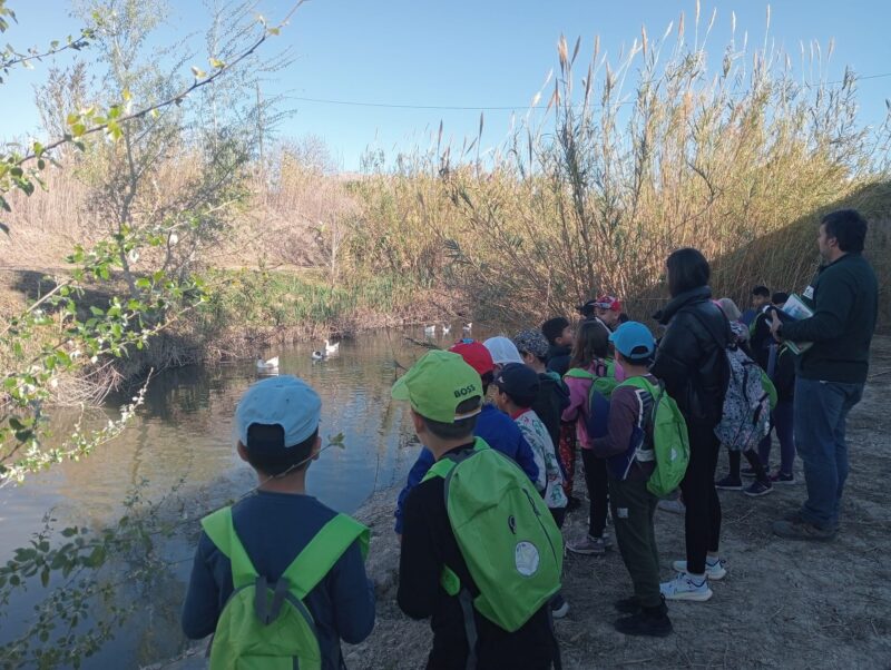 actividades de ANSE bosque de ribera de Beniel