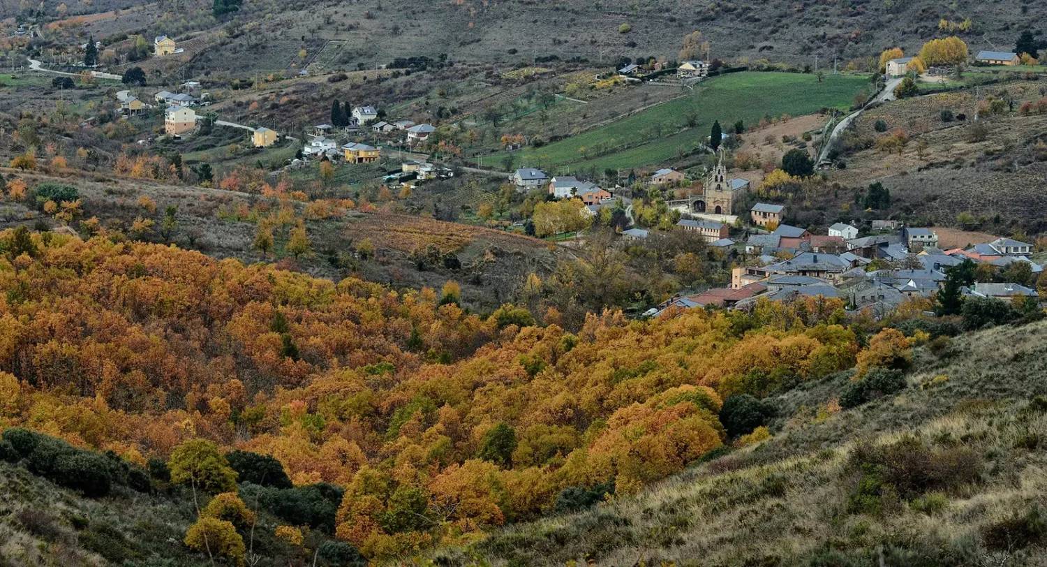 Bosque del Año de España 2024 Soto de Villar