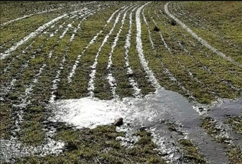 contaminación industrial y de granjas Parlamento Europeo