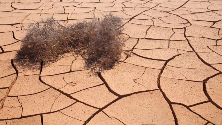Desertificación y cambio climático