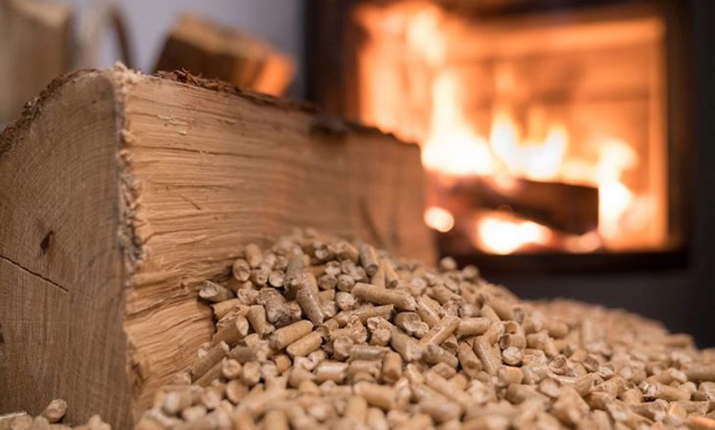 ExpoBiomasa 2025 biomasa