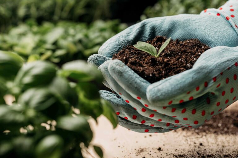 Fertilizantes orgánicos cambio climático