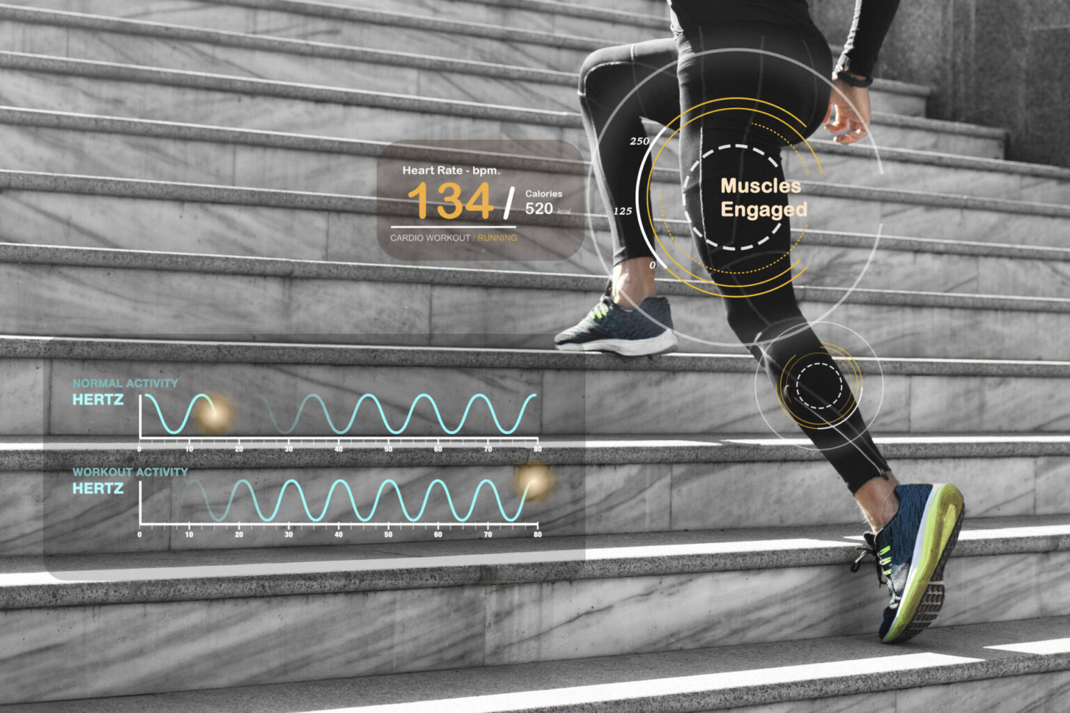 Proyecto READ energía