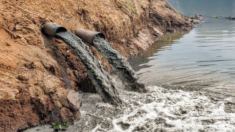 contaminación