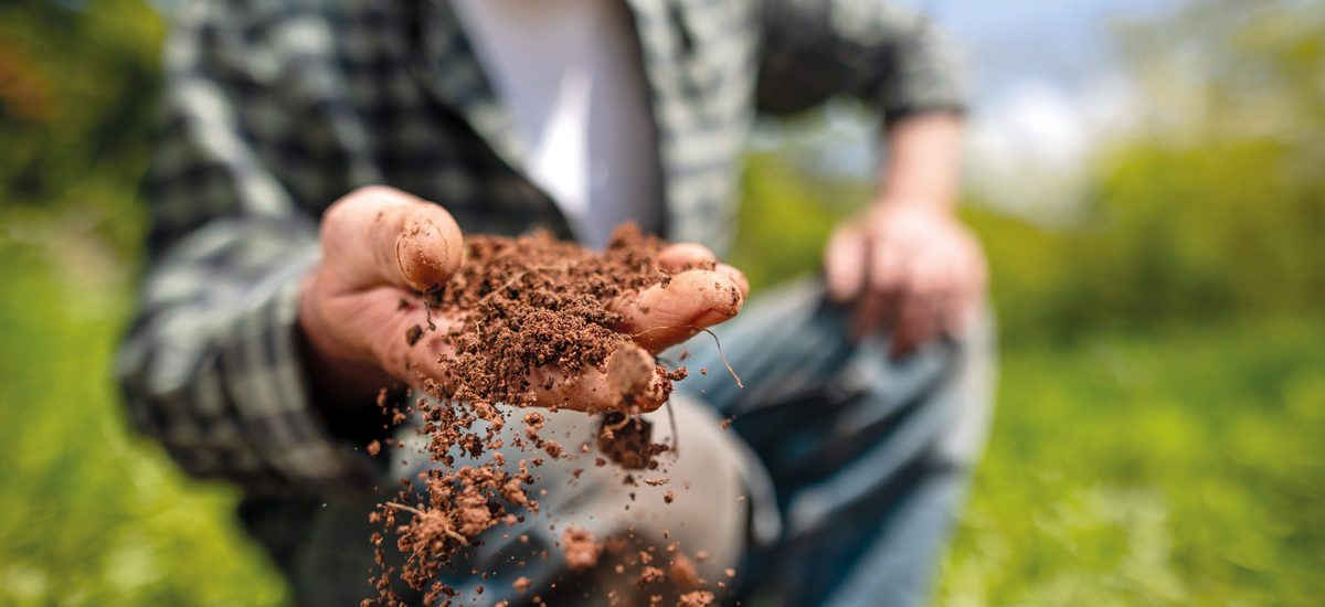 Agroecología campesina