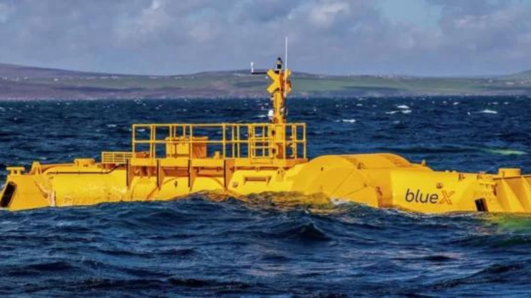 Animal gigante electricidad del mar