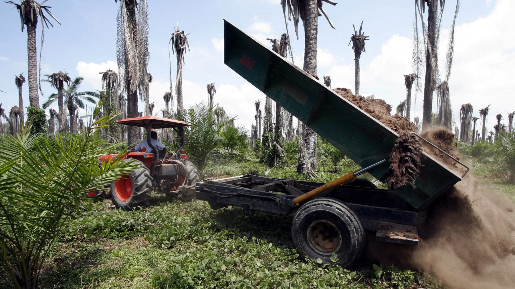 combustibles, energía renovable