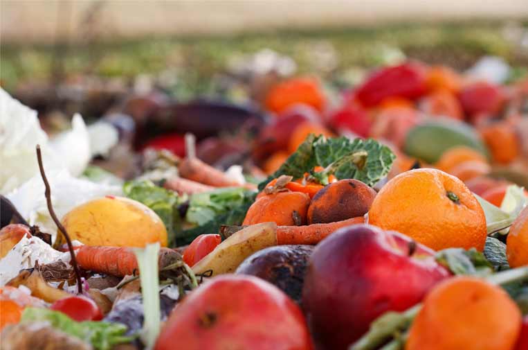 Desperdicio alimentario basura
