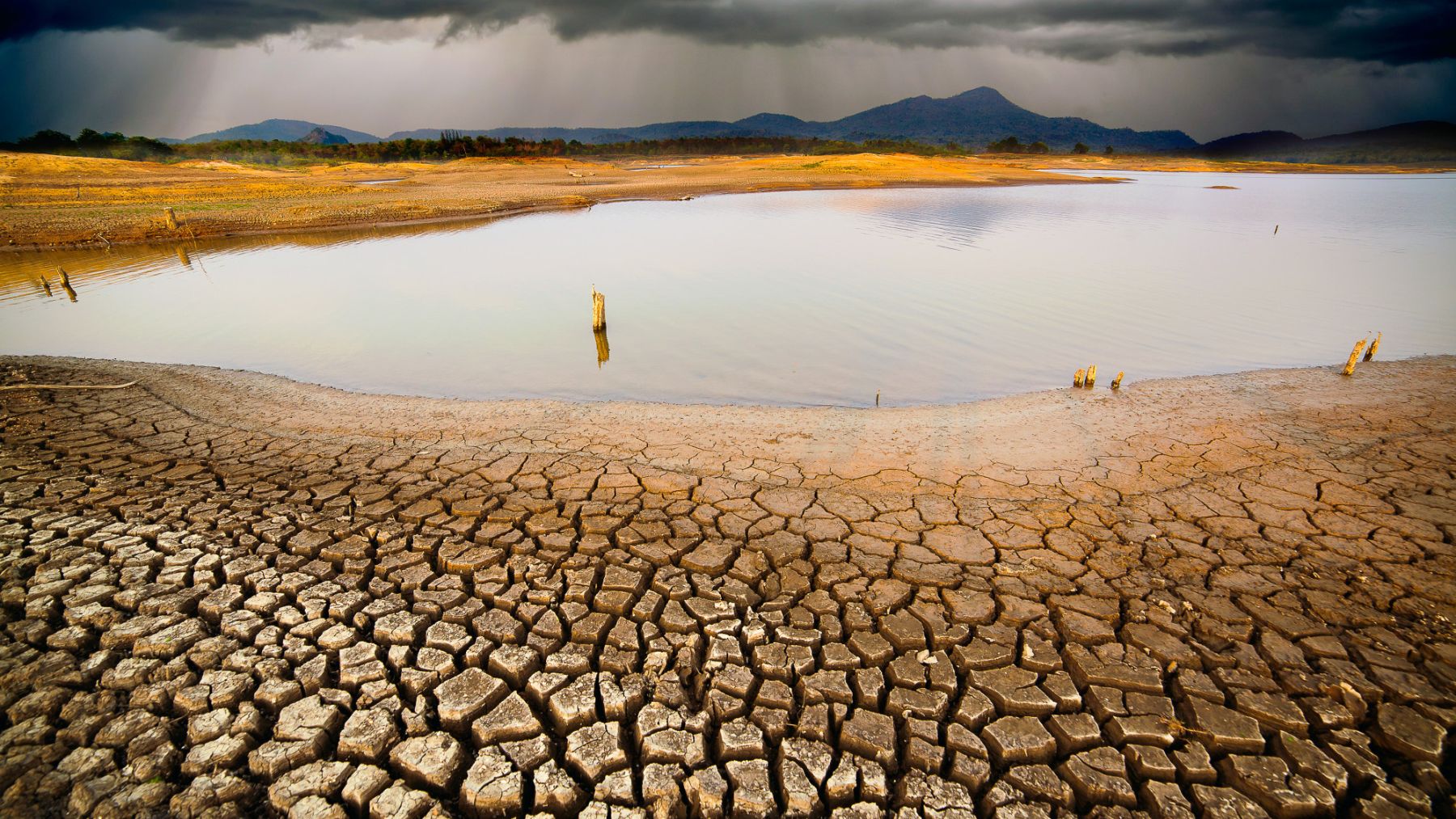 Estados Unidos guerra climatica