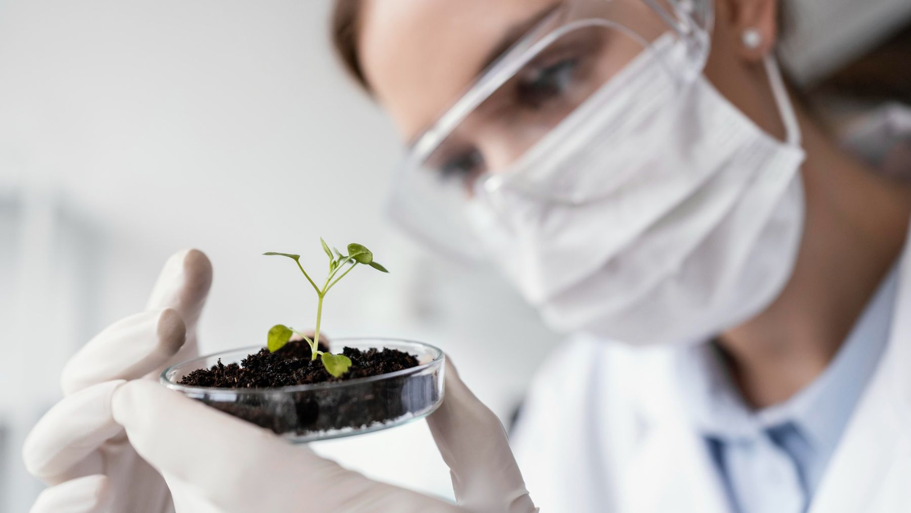 Fotosintesis artificial contaminante