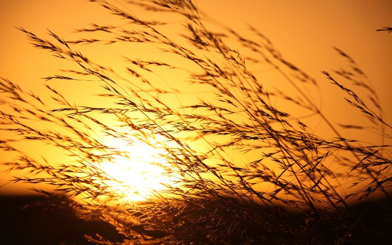 Invierno cálido España