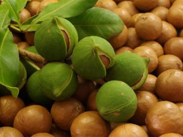 Descontaminar agua nueces macadamia
