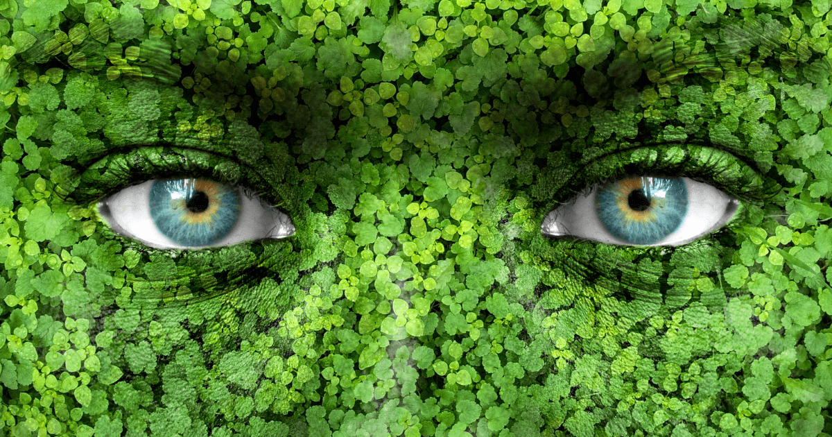 Que es la ecología concepto