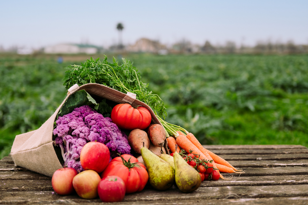 Agricultura Ecológica plaguicidas sintéticos
