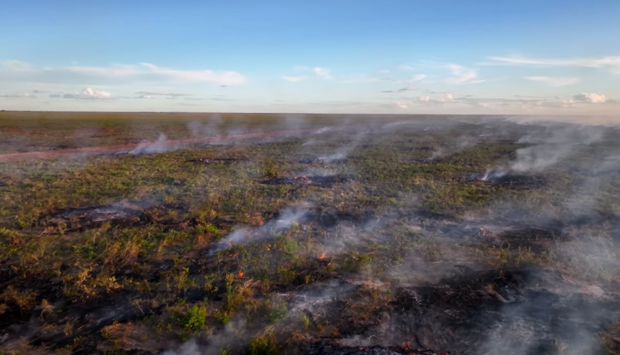 Moda criminal Brasil