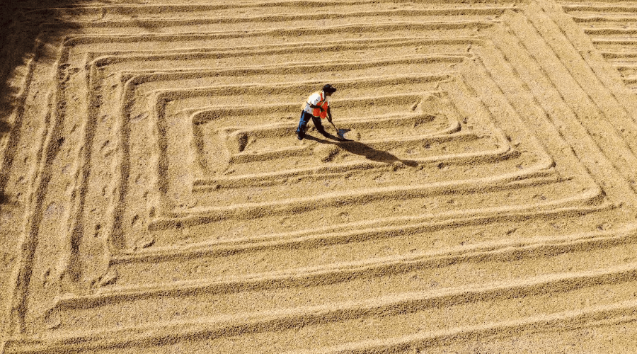 comercio justo eurodiputados