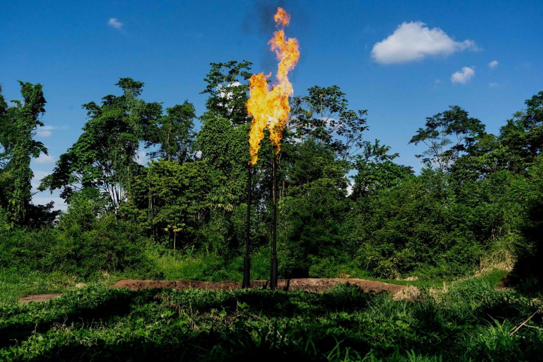 petroleras indigenas amazonia ecuatoriana