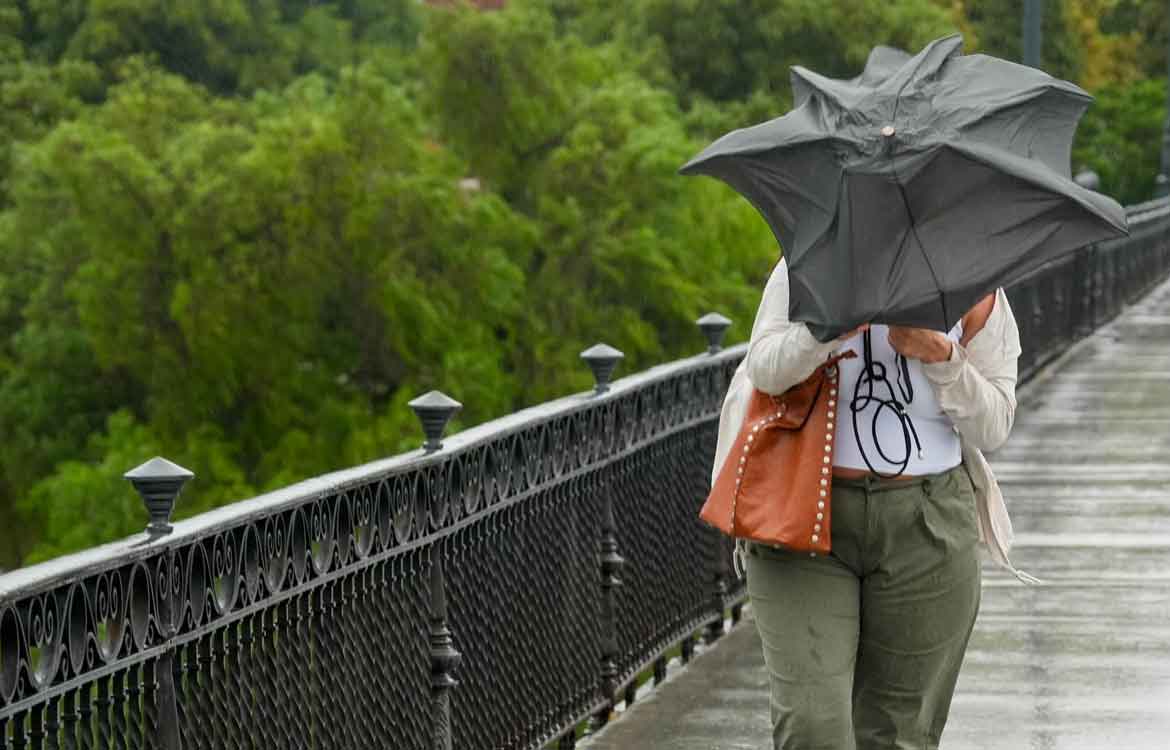 Mesa Social del Agua de Andalucía lluvias
