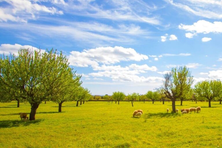 PAC naturaleza