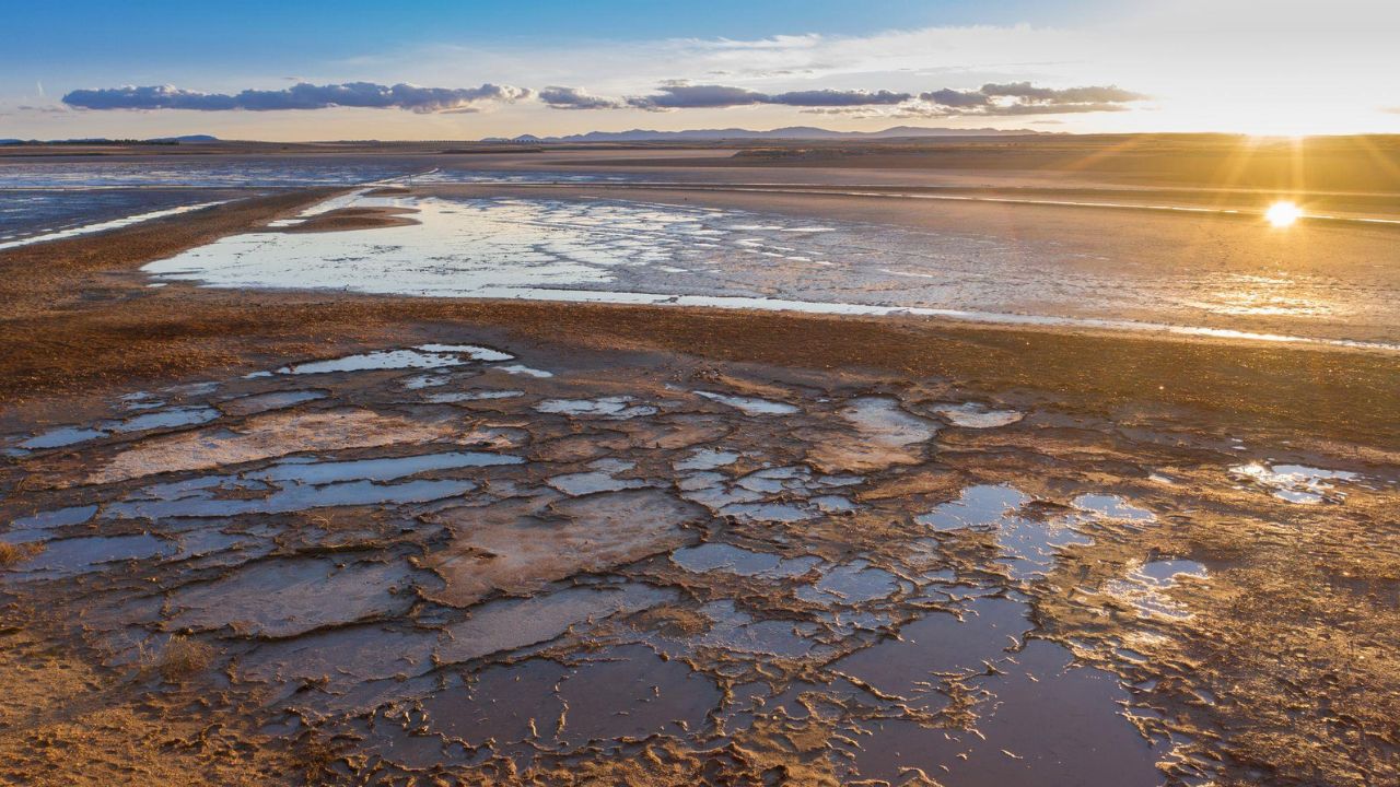Proyecto Biodiversidad y Clima de Living Lakes humedales