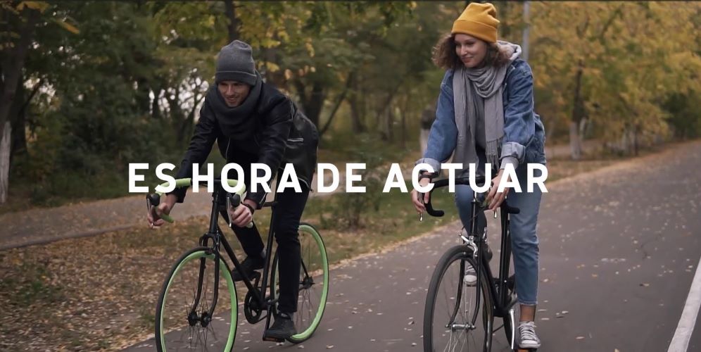 la acción más rentable SEO/BirdLife