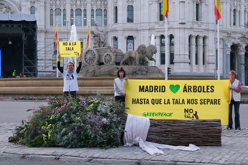 Ramo de boda realizado con ramas de talas de Madrid