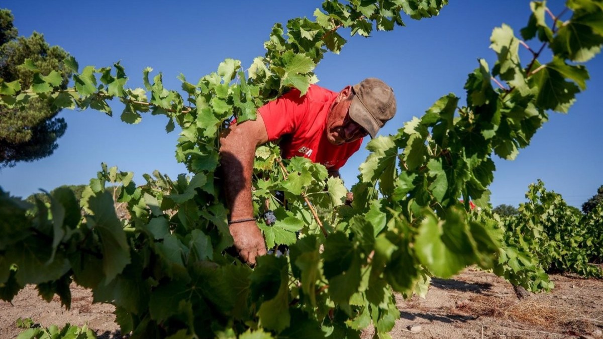 Normas ambientales UE agricultores