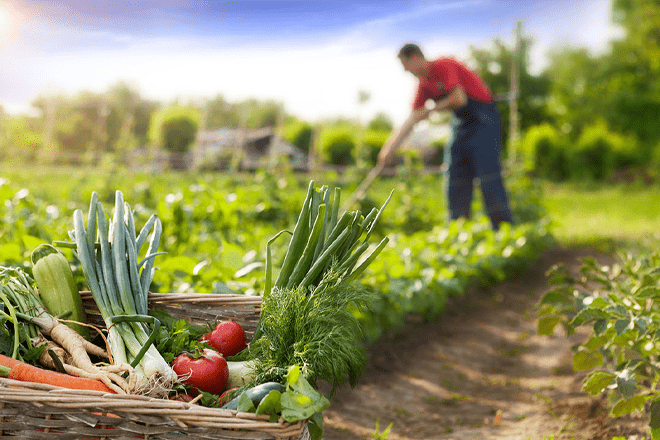 Modelo agrario hiperintensivo agroecológico