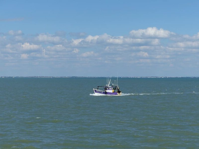 pesca de arrastre de fondo