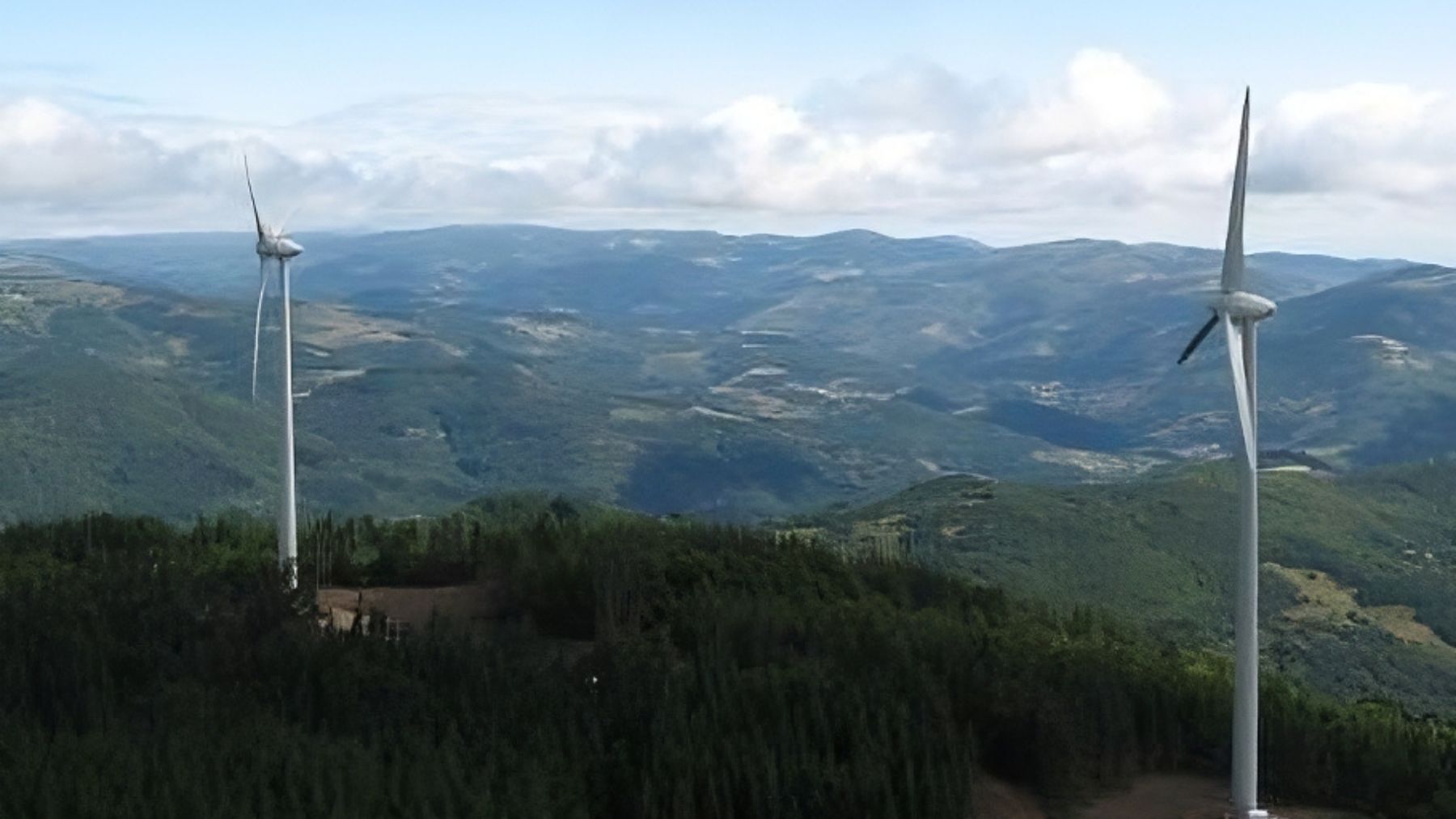 Bosque genera energia